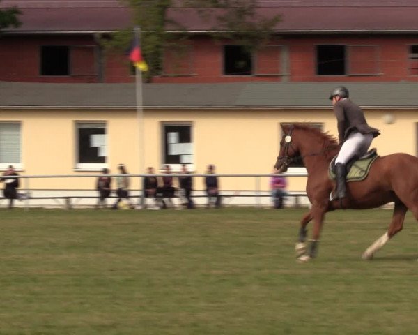 Reitturnier Röhrsdorf/ Chemnitz 2023