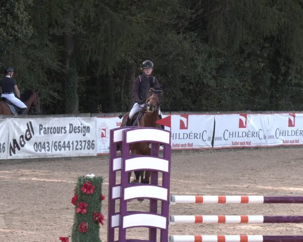 Reitturnier Ranshofen - Braunau am Inn 2023