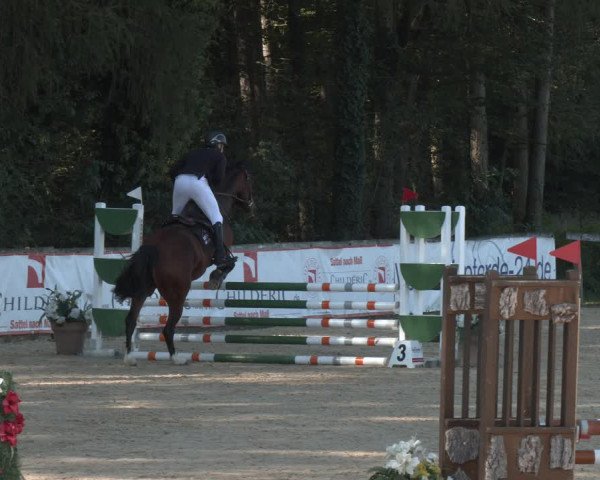 Reitturnier Ranshofen - Braunau am Inn 2023