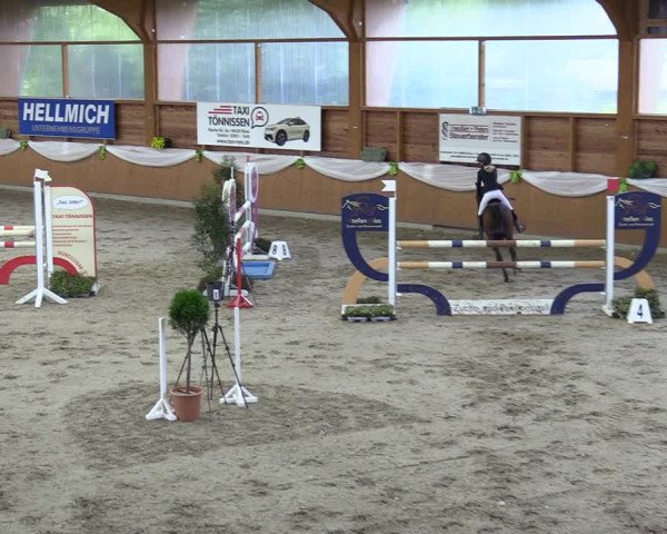 Reitturnier Xanten - Reitanlage Miss 2023