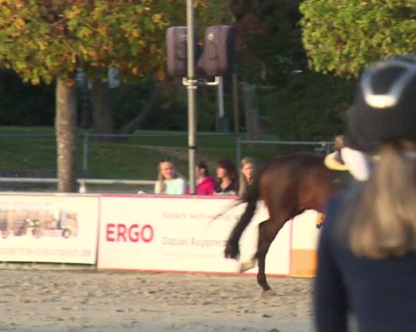 Reitturnier Frankenhof-Sonnefeld/Ofr. 2023
