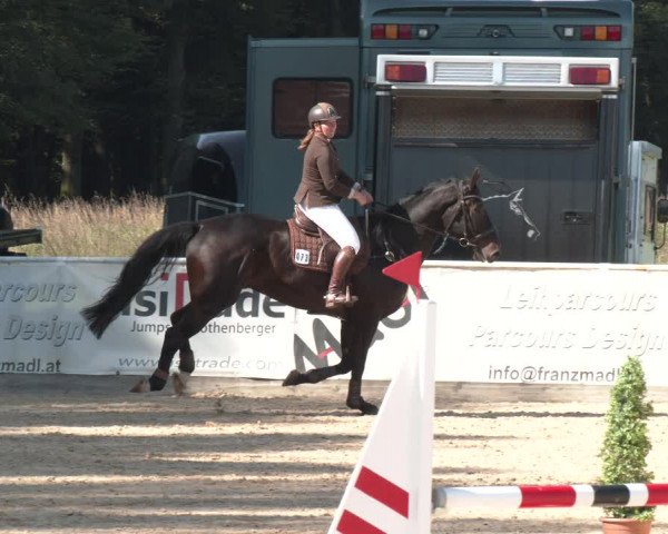 Reitturnier Ranshofen - Braunau am Inn 2023