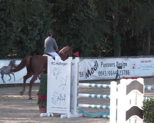 Reitturnier Ranshofen - Braunau am Inn 2023