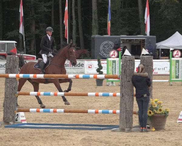 Reitturnier Ranshofen - Braunau am Inn 2023