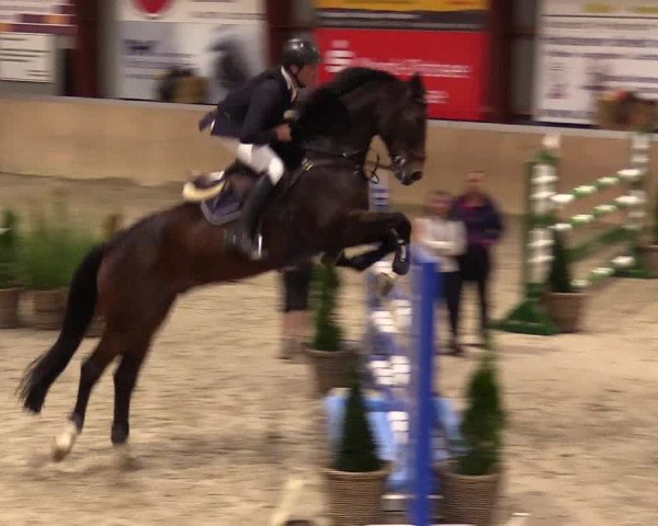 Reitturnier Behrendorf 2023