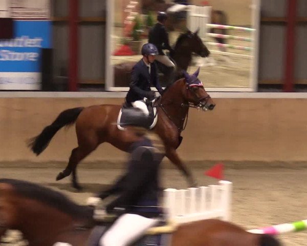Reitturnier Behrendorf 2023