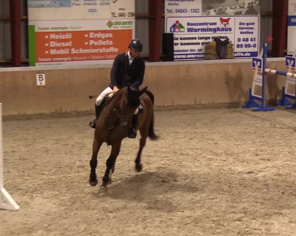 Reitturnier Behrendorf 2023