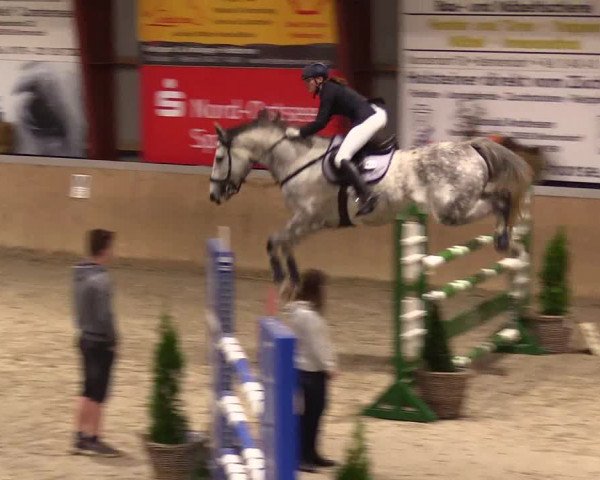 Reitturnier Behrendorf 2023