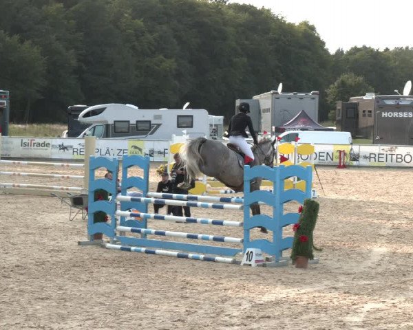 Reitturnier Ranshofen - Braunau am Inn 2023