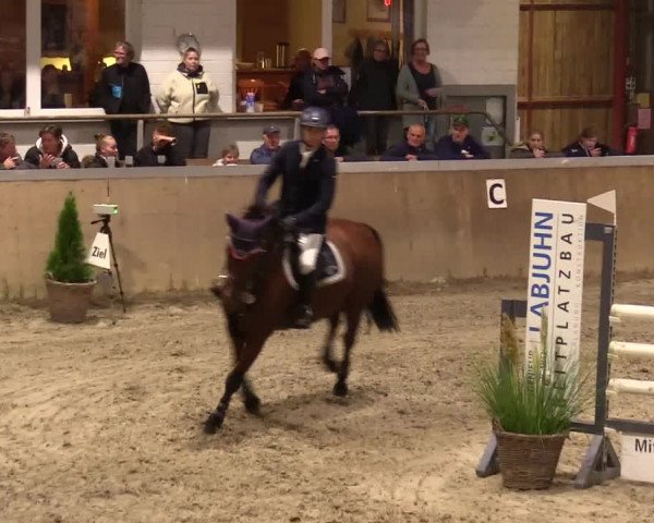 Reitturnier Behrendorf 2023