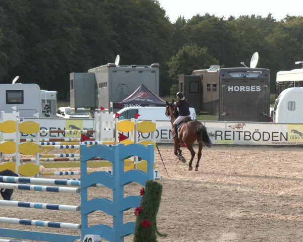 Reitturnier Ranshofen - Braunau am Inn 2023