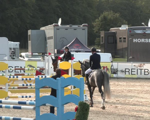 Reitturnier Ranshofen - Braunau am Inn 2023