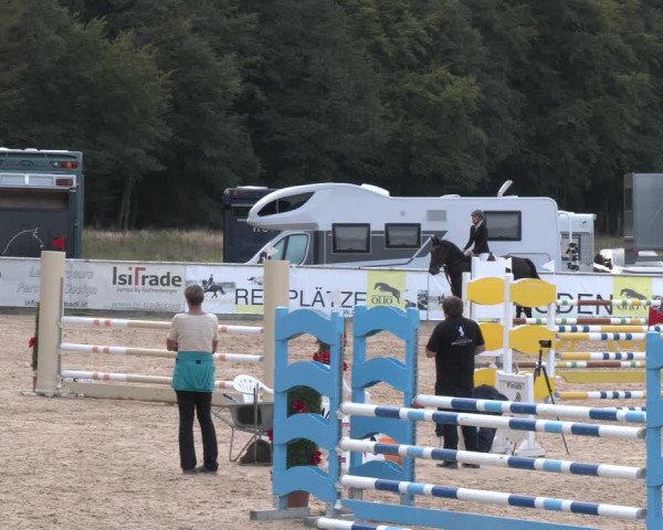 Reitturnier Ranshofen - Braunau am Inn 2023