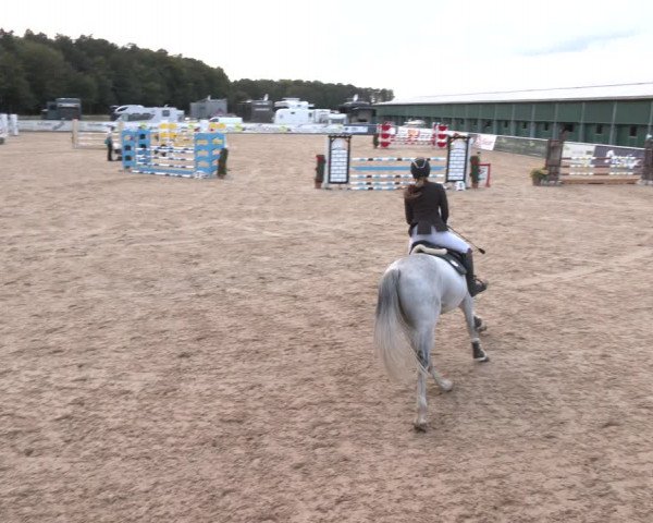 Reitturnier Ranshofen - Braunau am Inn 2023