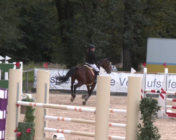 Reitturnier Ranshofen - Braunau am Inn 2023