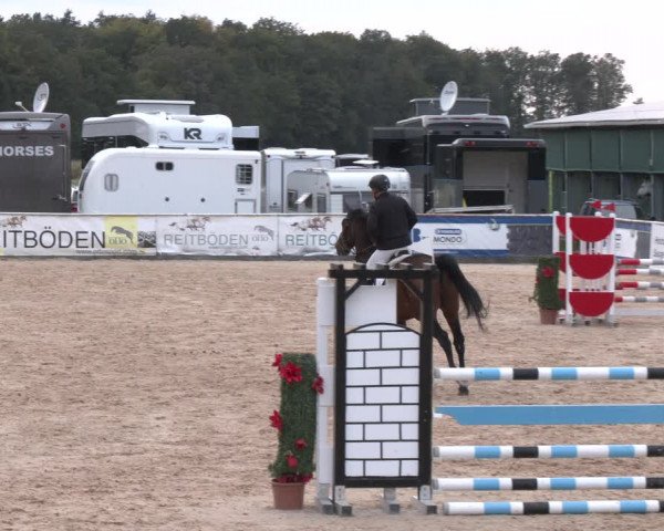 Reitturnier Ranshofen - Braunau am Inn 2023