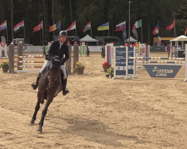 Reitturnier Ranshofen - Braunau am Inn 2023