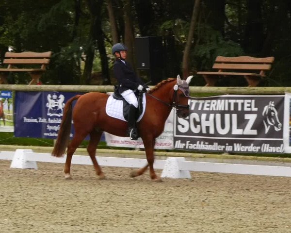 Reitturnier Ruhlsdorf 2023