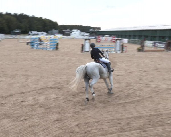 Reitturnier Ranshofen - Braunau am Inn 2023