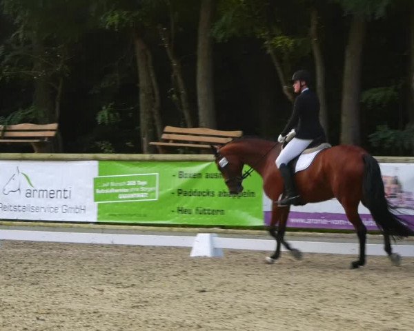 Reitturnier Ruhlsdorf 2023