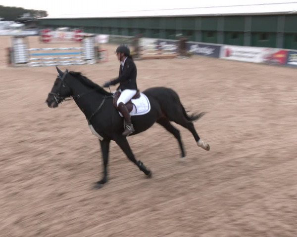 Reitturnier Ranshofen - Braunau am Inn 2023