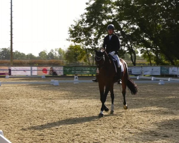 Reitturnier Ruhlsdorf 2023