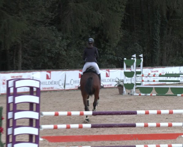 Reitturnier Ranshofen - Braunau am Inn 2023