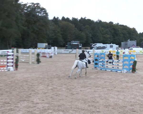 Reitturnier Ranshofen - Braunau am Inn 2023