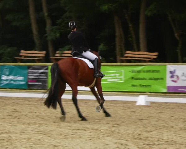 Reitturnier Ruhlsdorf 2023