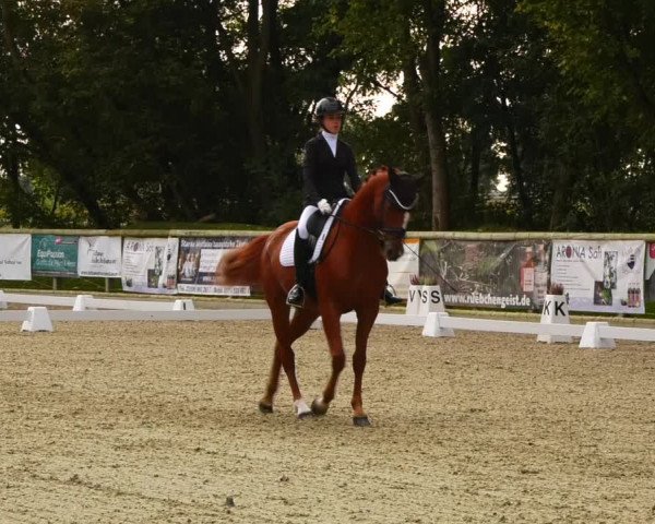 Reitturnier Ruhlsdorf 2023