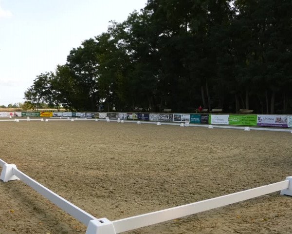 Reitturnier Ruhlsdorf 2023
