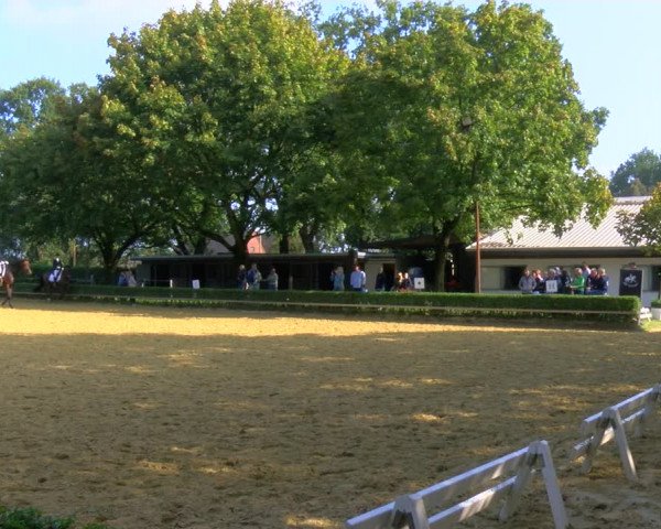 Reitturnier Bottrop-Kirchhellen 2023