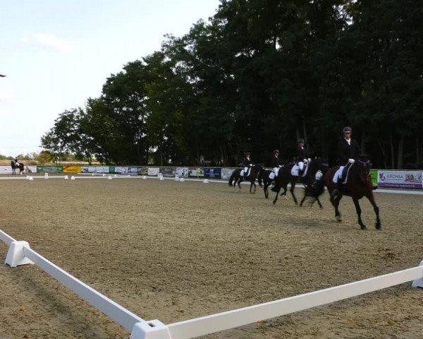 Reitturnier Ruhlsdorf 2023