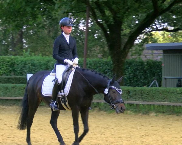 Reitturnier Bottrop-Kirchhellen 2023