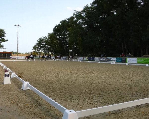 Reitturnier Ruhlsdorf 2023