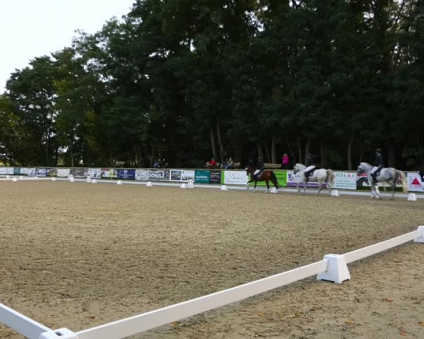 Reitturnier Ruhlsdorf 2023