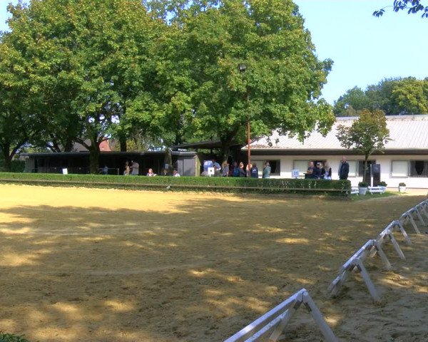 Reitturnier Bottrop-Kirchhellen 2023
