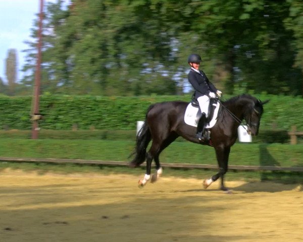 Reitturnier Bottrop-Kirchhellen 2023