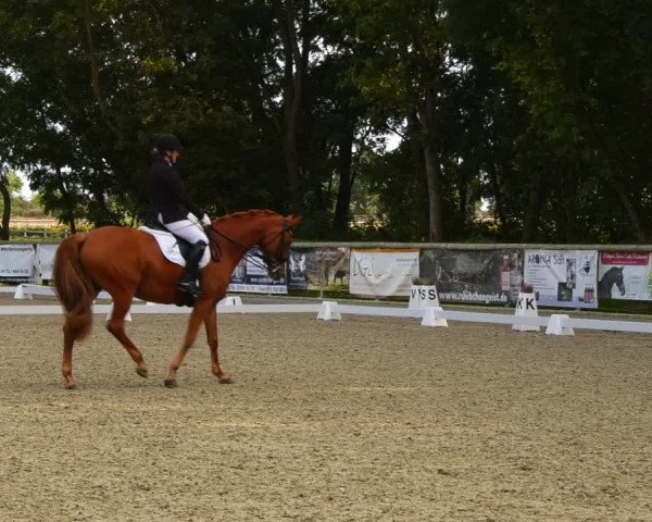 Reitturnier Ruhlsdorf 2023