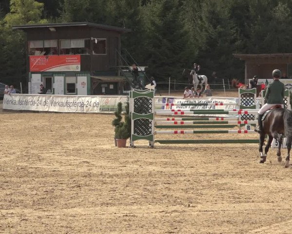 Reitturnier Ranshofen - Braunau am Inn 2023