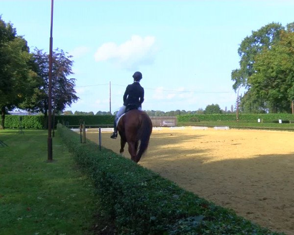 Reitturnier Bottrop-Kirchhellen 2023