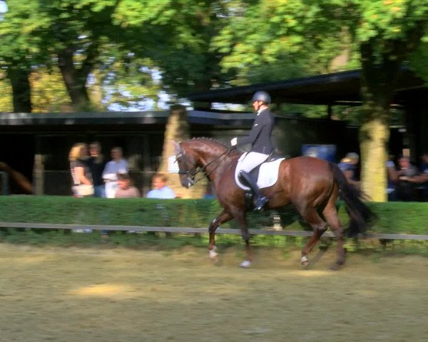 Reitturnier Bottrop-Kirchhellen 2023