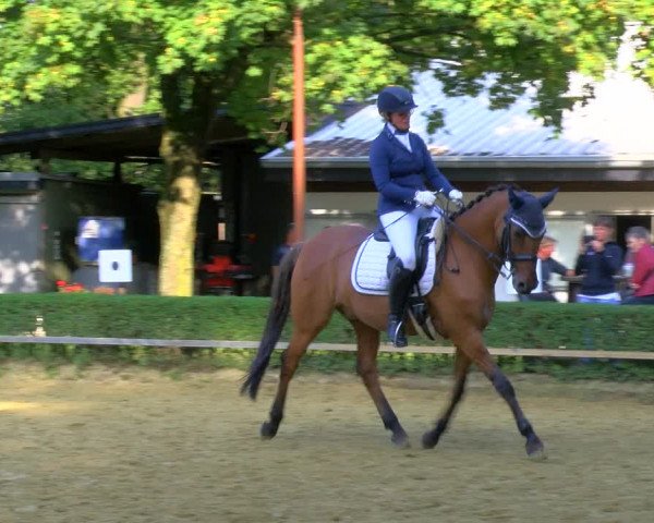 Reitturnier Bottrop-Kirchhellen 2023