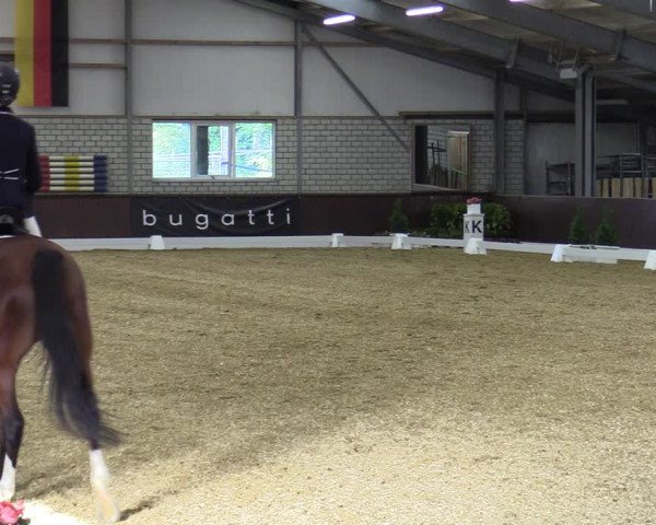 Reitturnier Bottrop-Kirchhellen 2023