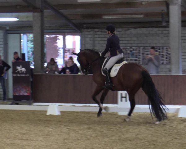 Reitturnier Bottrop-Kirchhellen 2023
