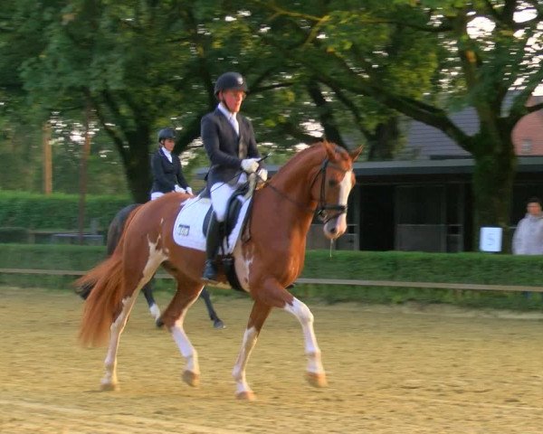 Reitturnier Bottrop-Kirchhellen 2023