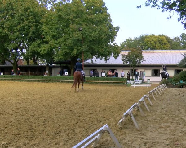 Reitturnier Bottrop-Kirchhellen 2023