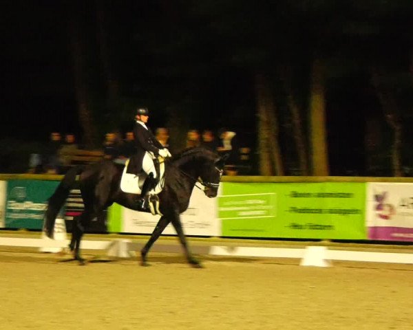 Reitturnier Ruhlsdorf 2023