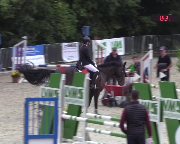 Reitturnier Sörup 2021