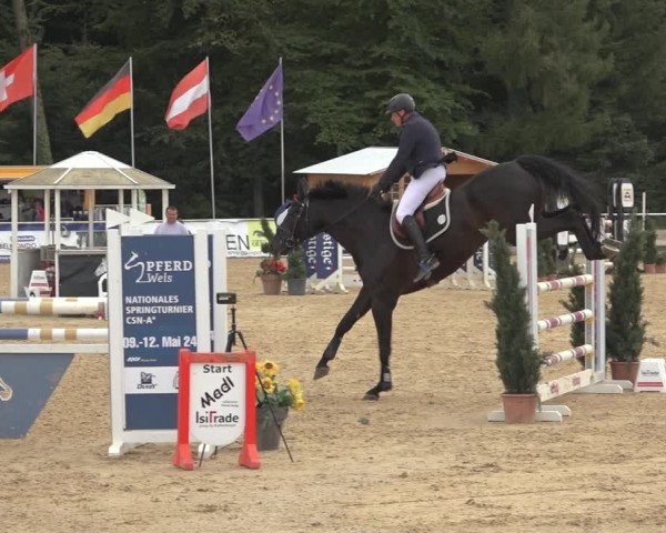 Reitturnier Ranshofen - Braunau am Inn 2023